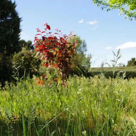 Bed & Breakfast Holzhaus Chambre D'hotes Aix-en-Provence